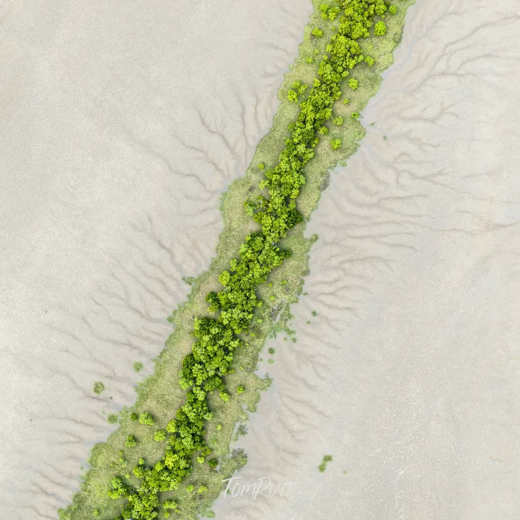 Channel Country Mangroves
