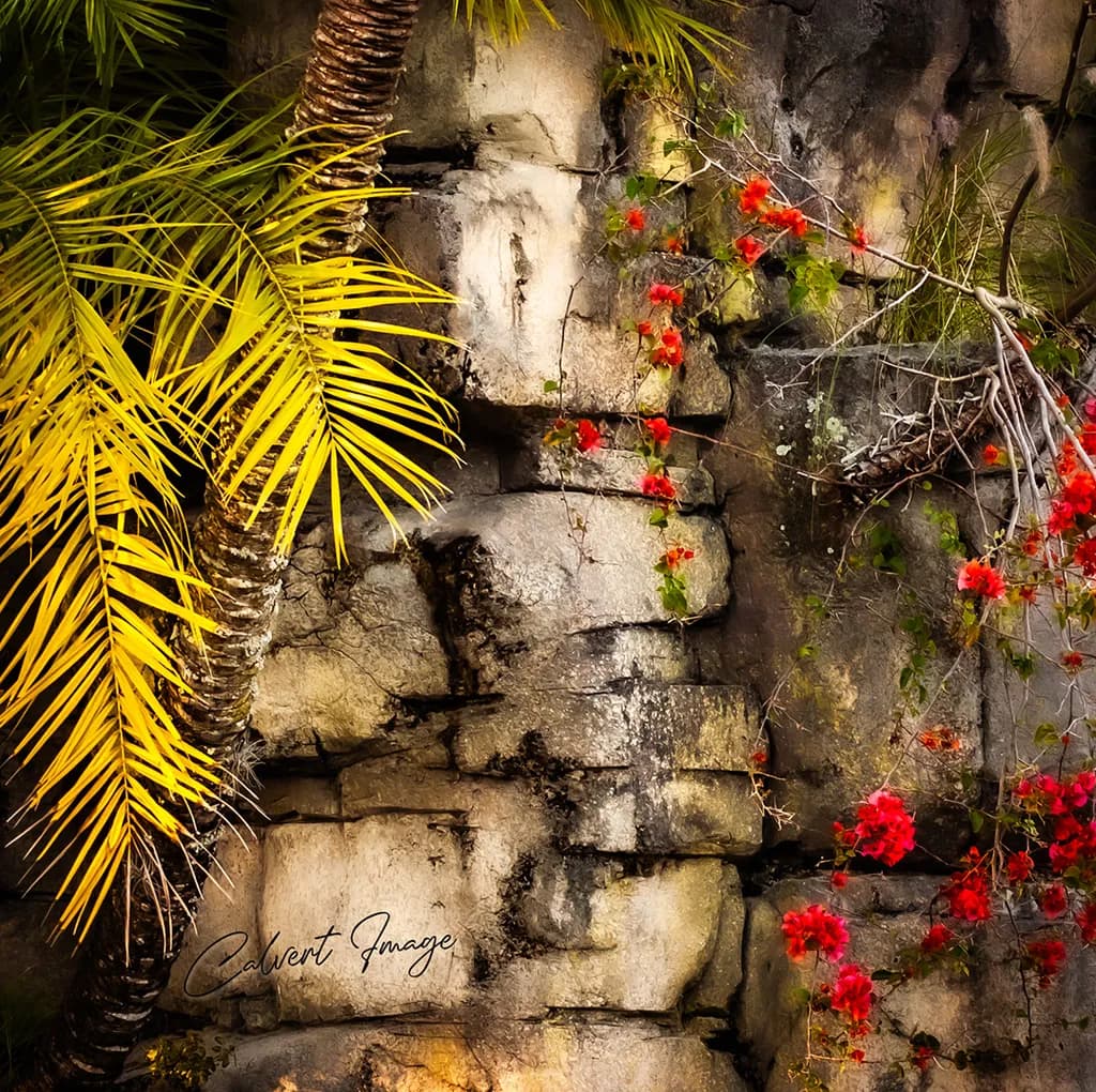 Walls Series 002
