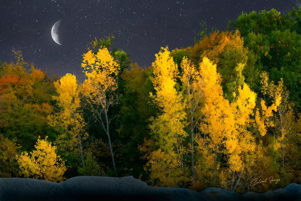 Autumn Moonrise