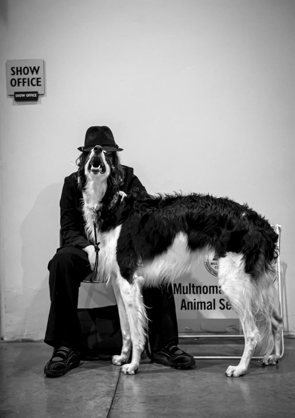 Dogshow Duo
