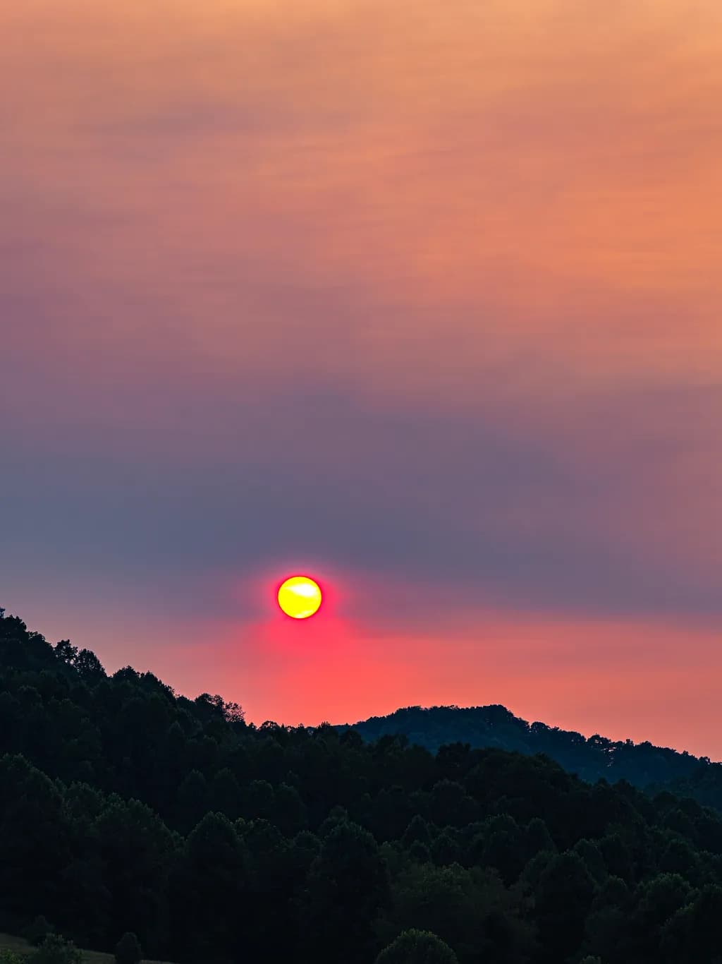 Hillside Sunset Glow