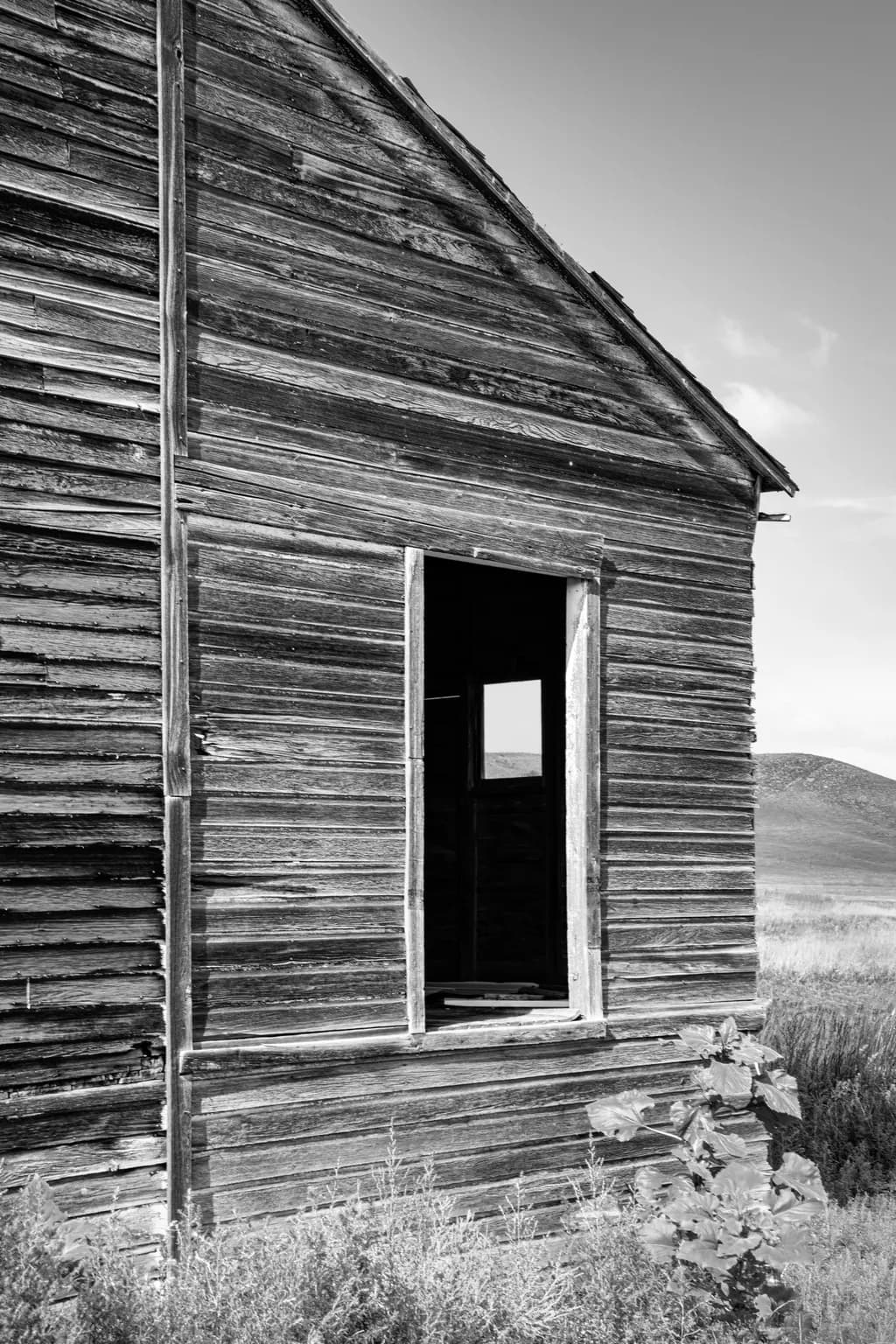 Weathered Echoes