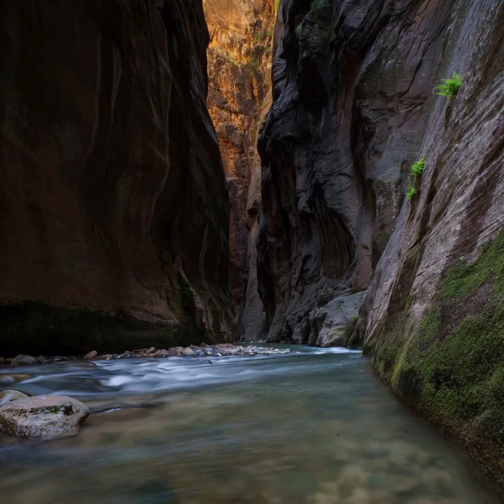 Hidden Stream Adventure