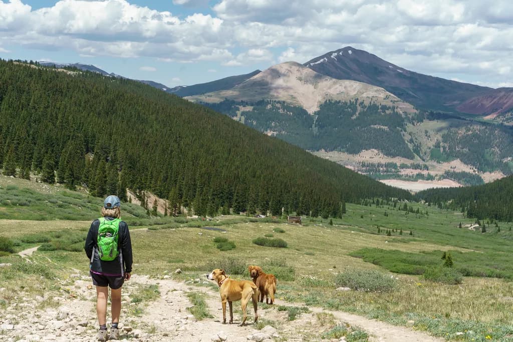 Trail Buddies