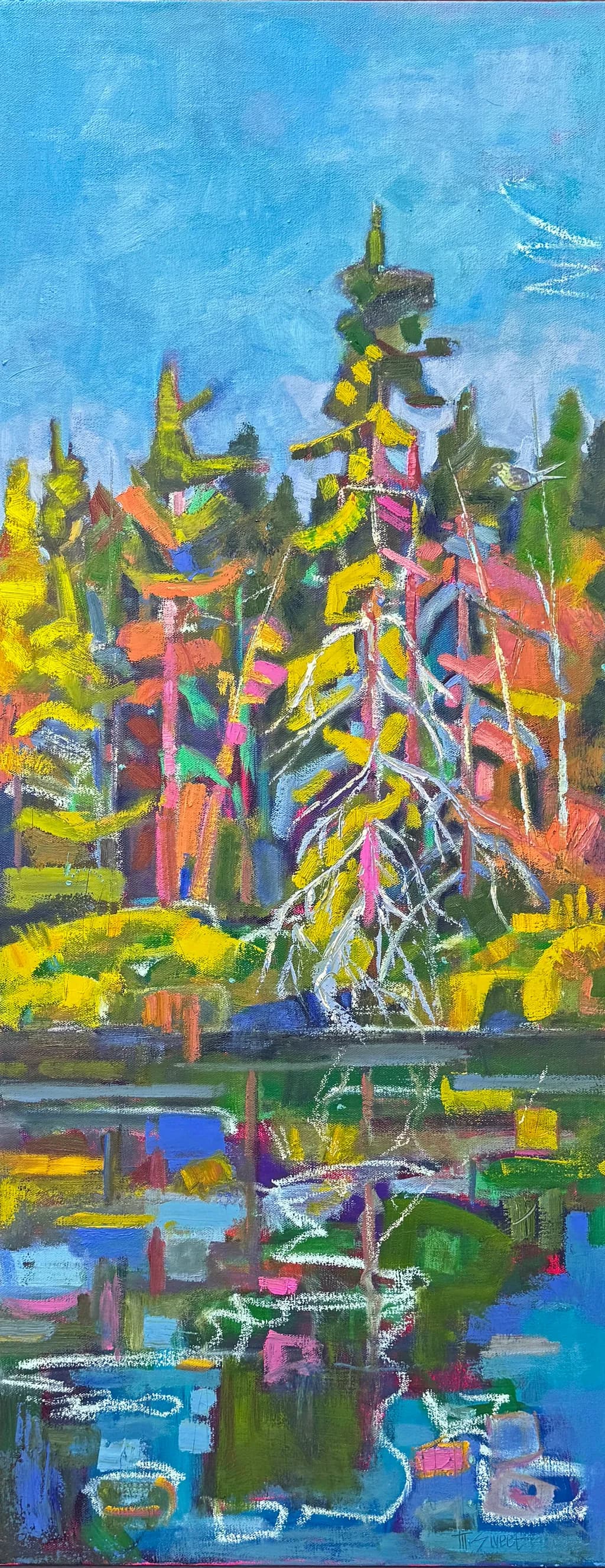 Colorful Woodland Reflections