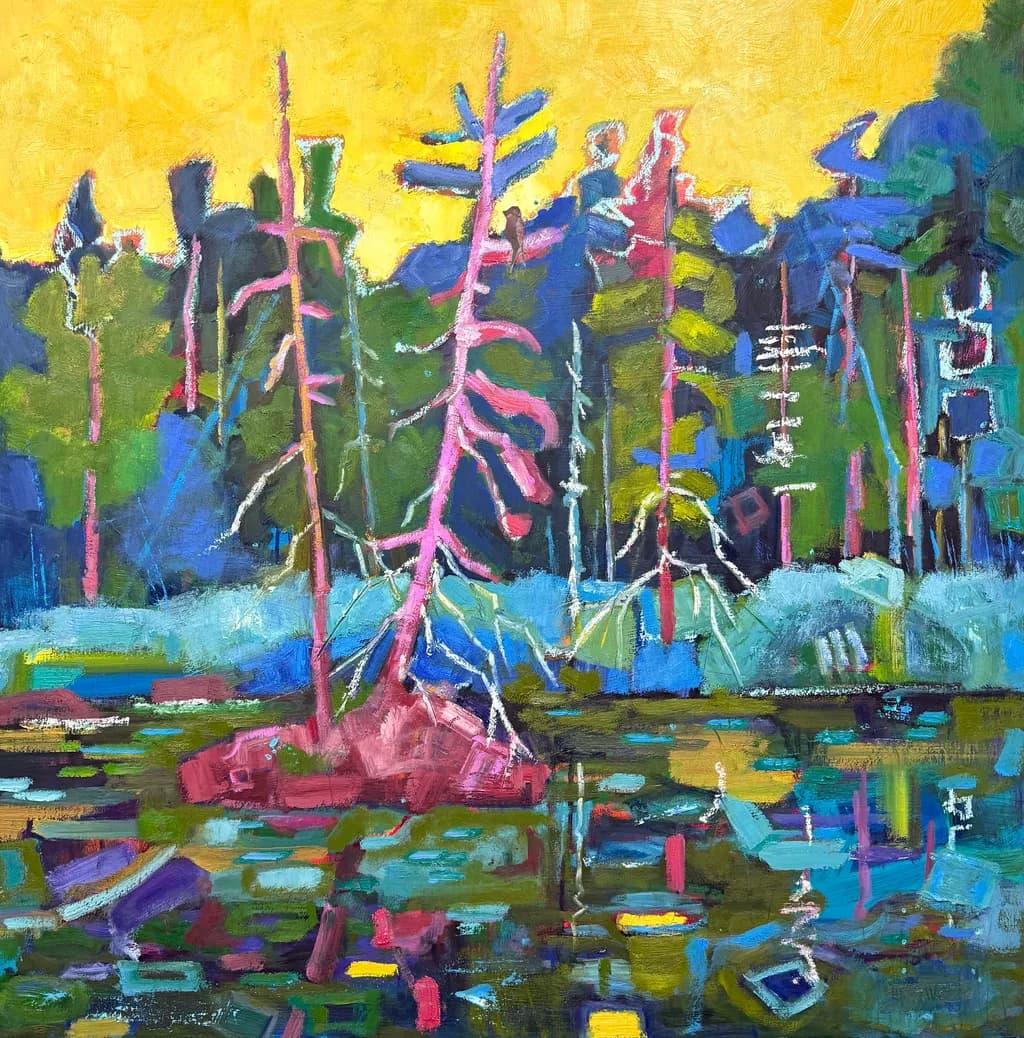 Forest Light