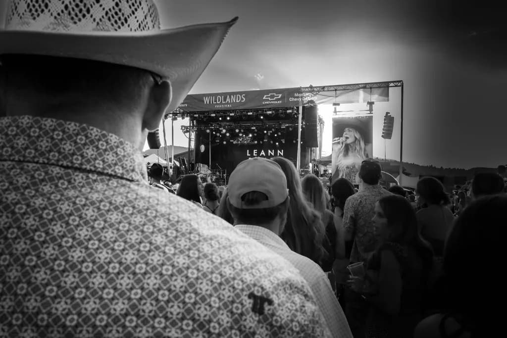 Concert Crowd Viewpoint