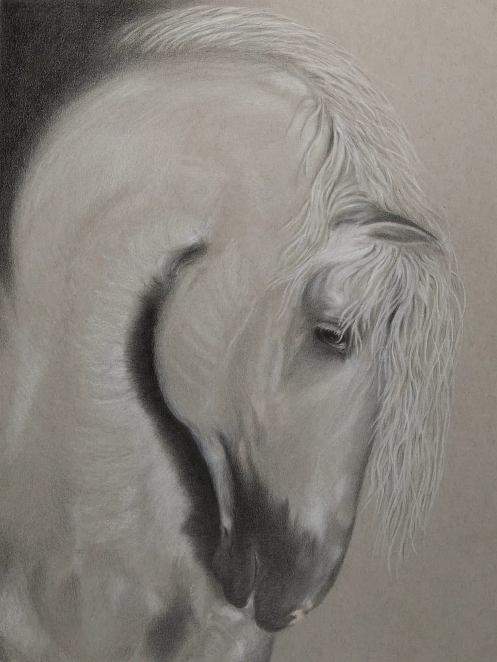 Graceful White Horse