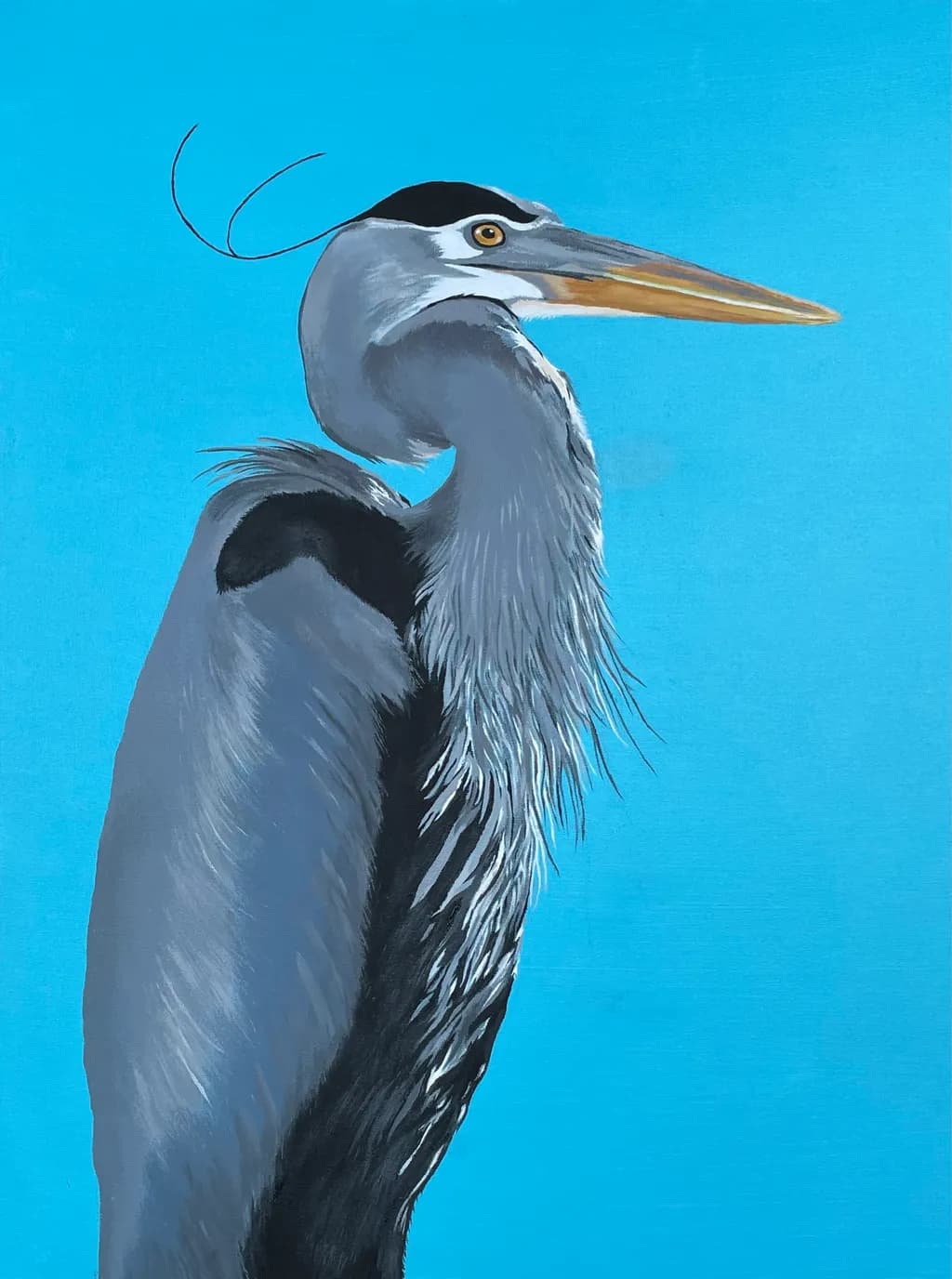 Majestic Blue Heron