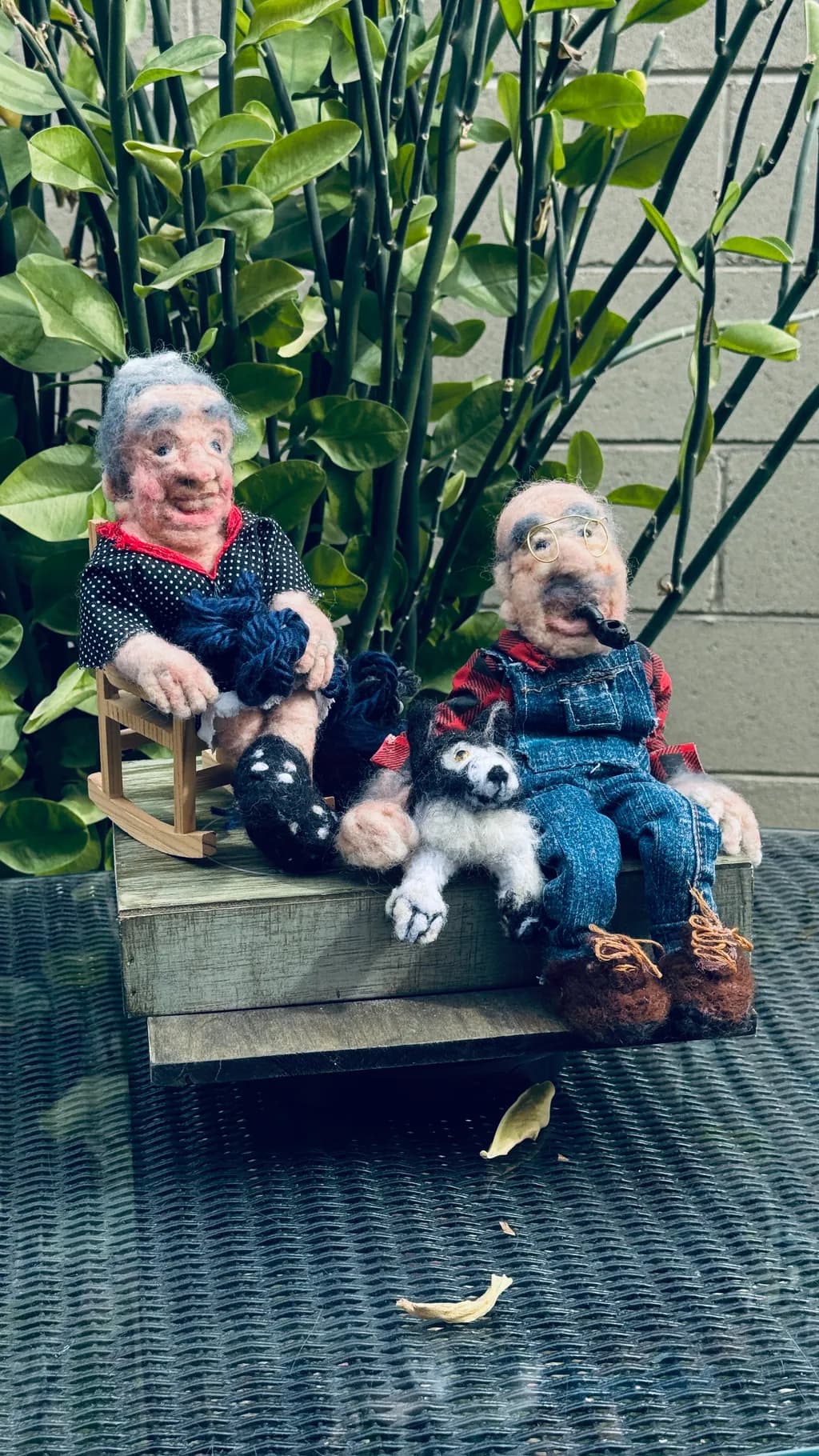 Cozy Companions