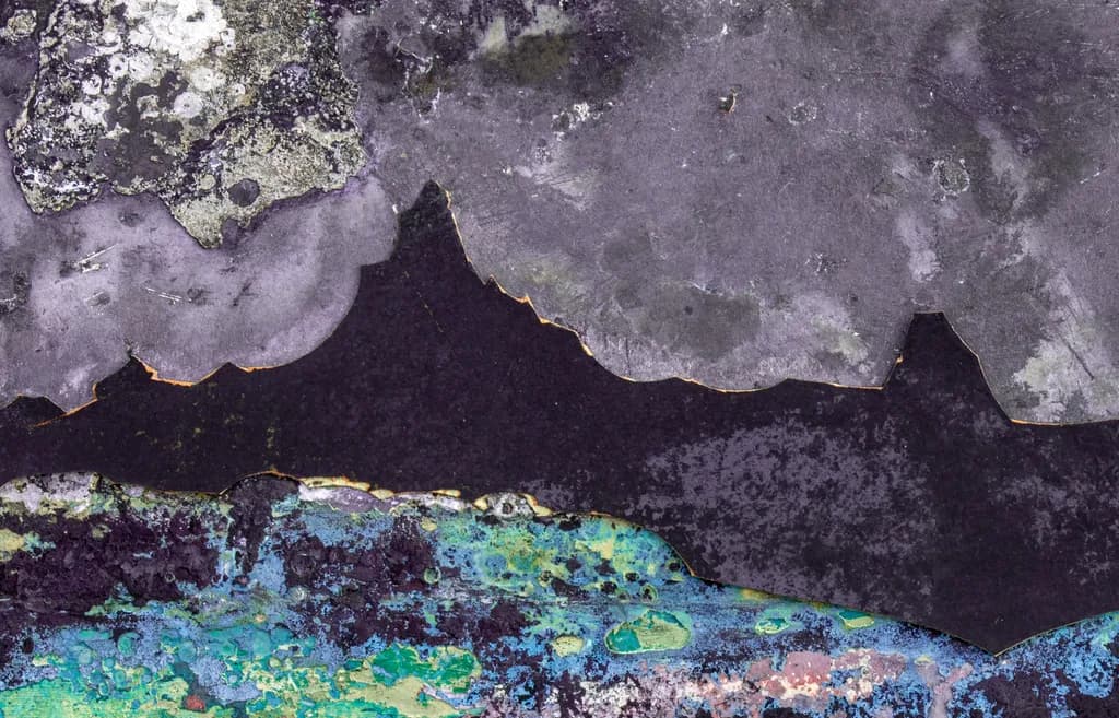 Whispers of Color: An Abstract Journey Through Organic Textures and Contrasts