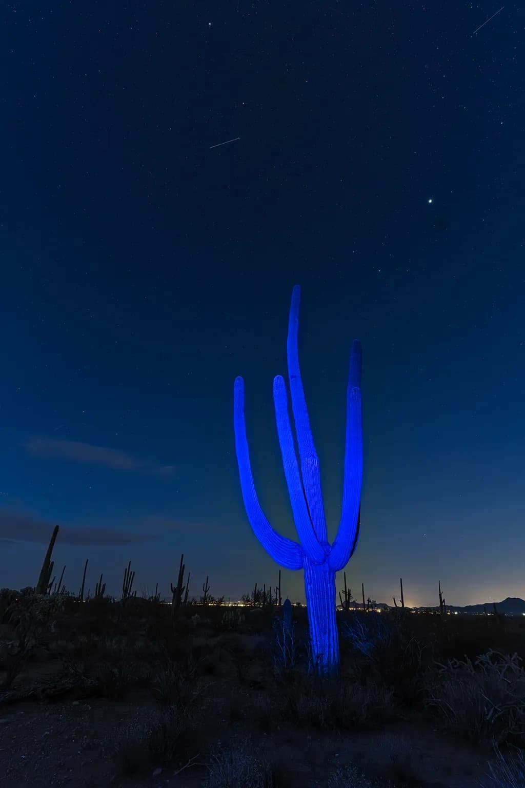 Blue Sentinel