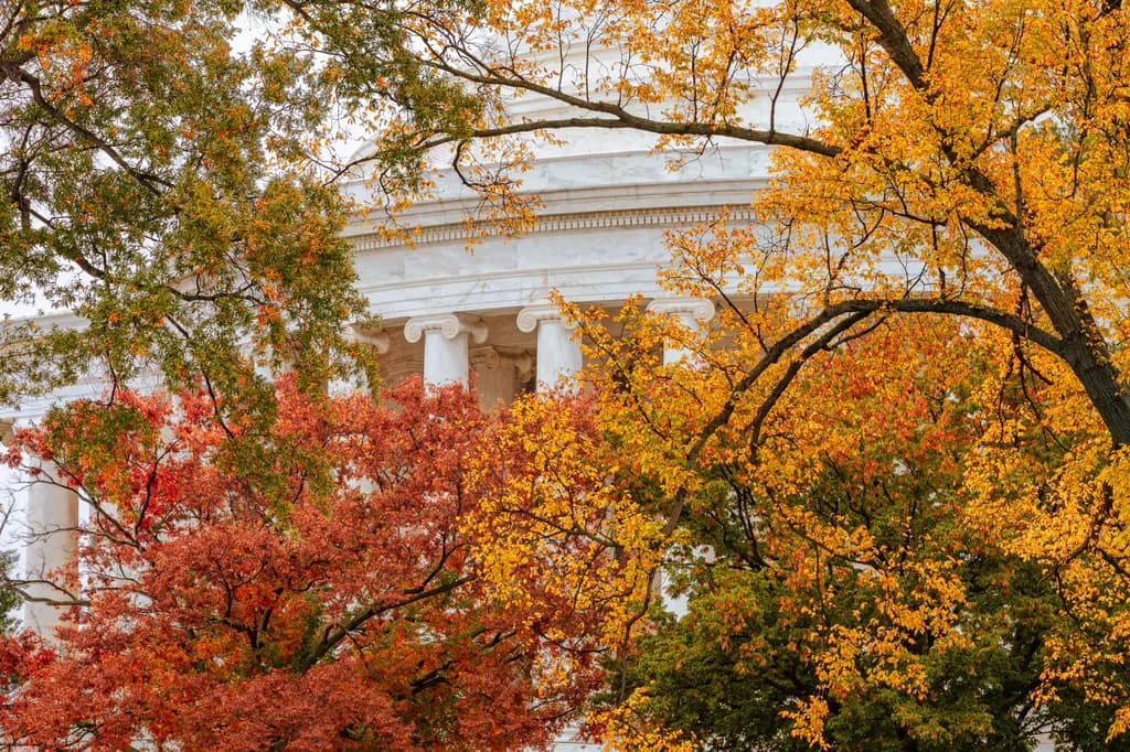 Autumn's Embrace: The Majestic Capitol Framed by Vibrant Foliage