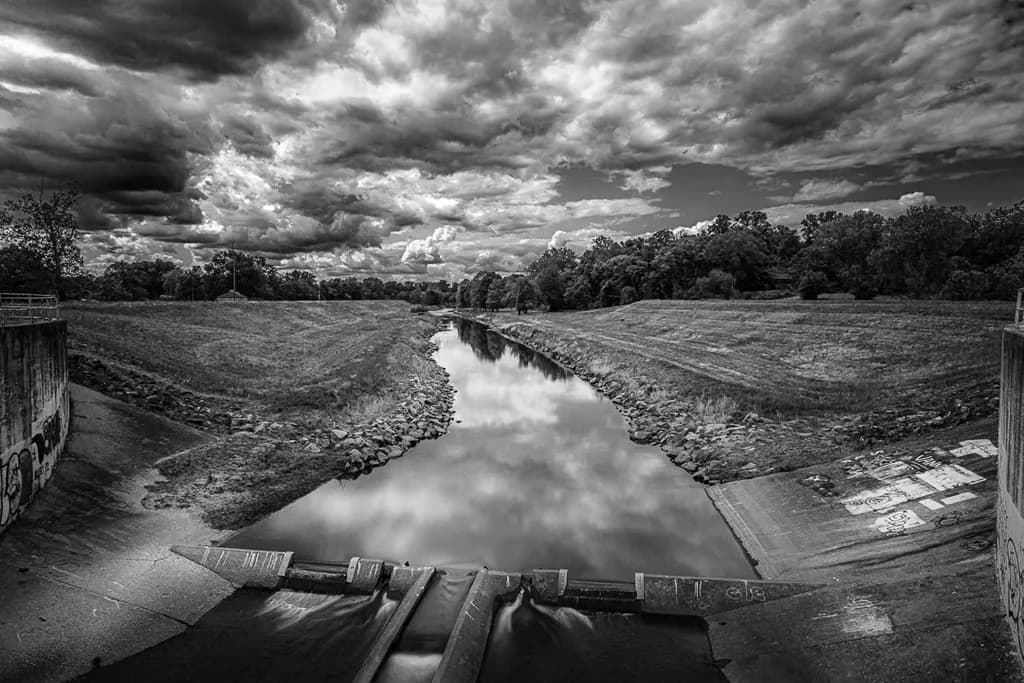 Whispers of Reflection: A Monochrome Journey Through Nature's Serenity