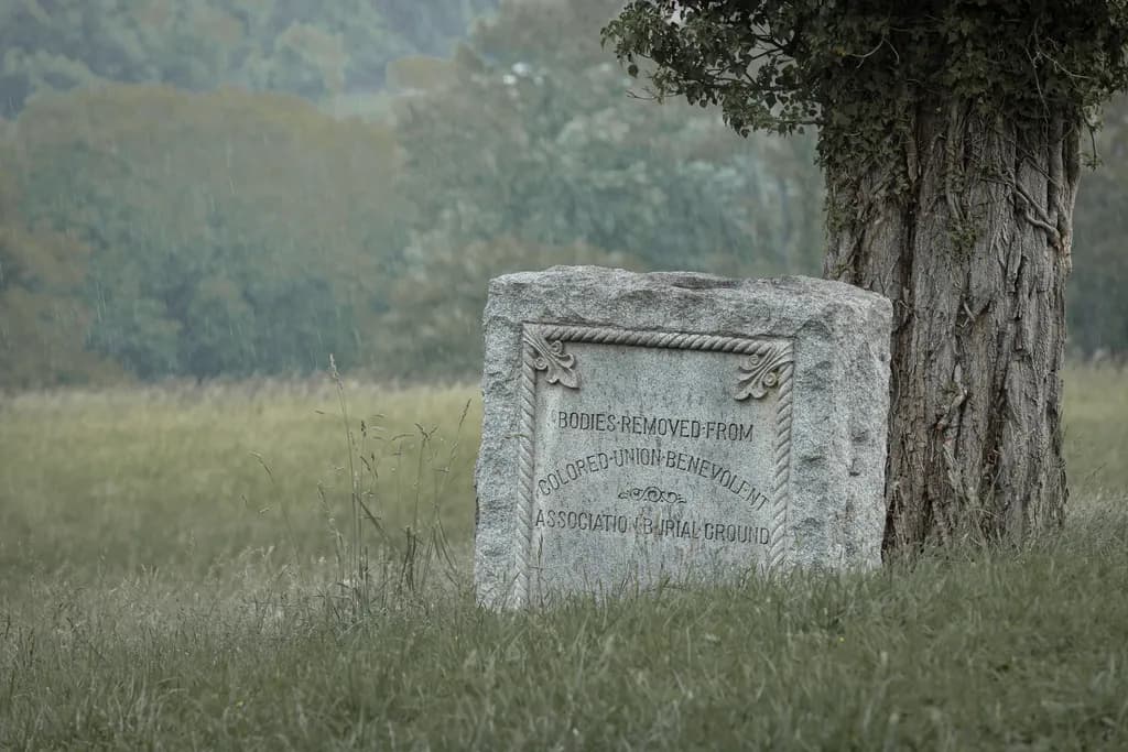 Forgotten Ground