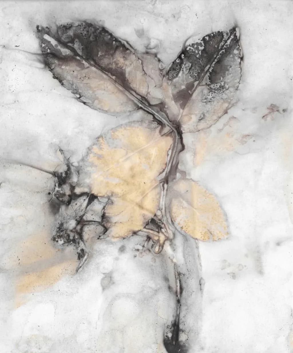 Faded Imprint