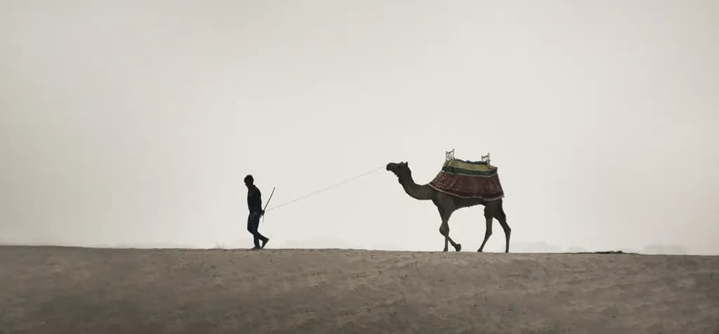 Desert Journey