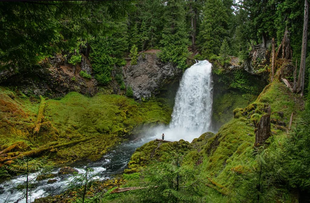 Mossbound Cascade