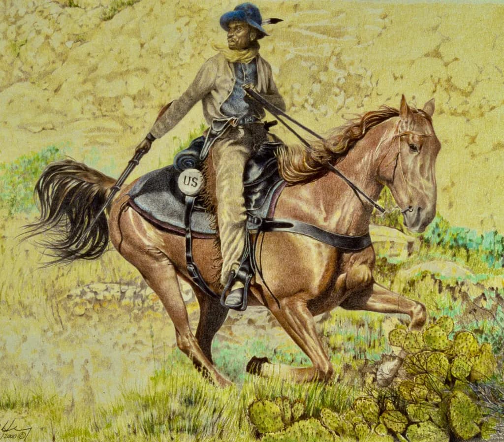 Buffalo Scout
