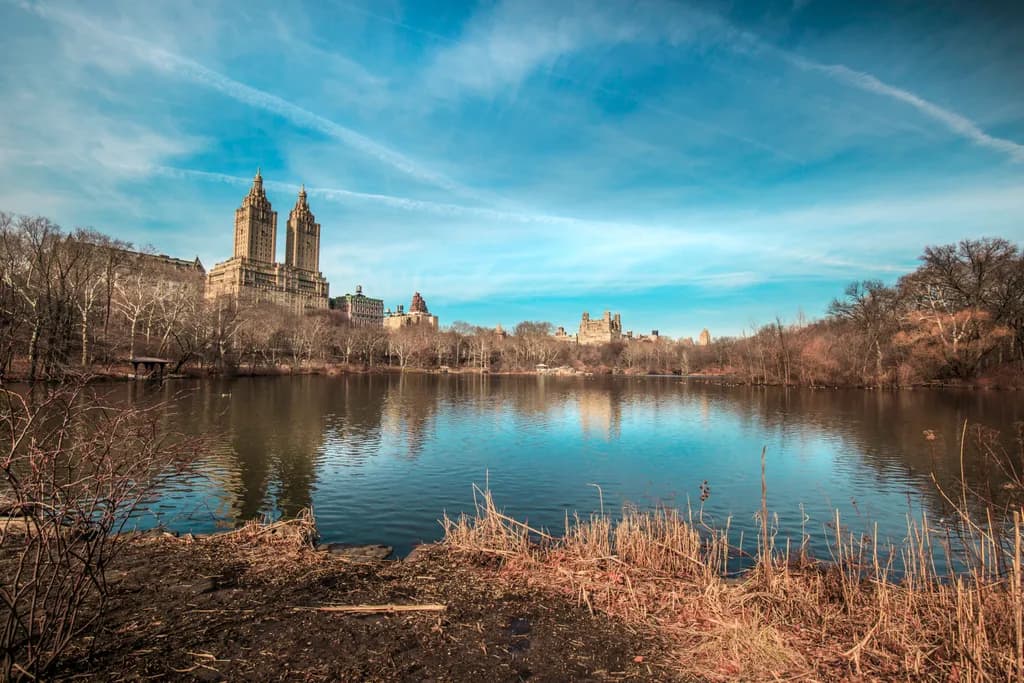 Central Park Winter