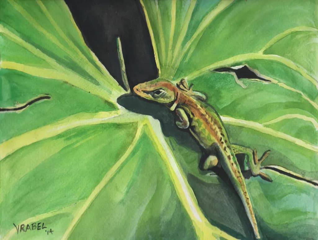 Green Gecko