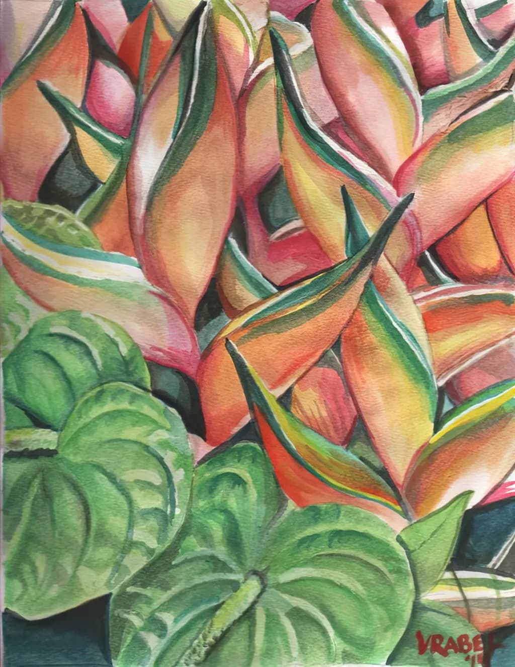Heliconia Harmony