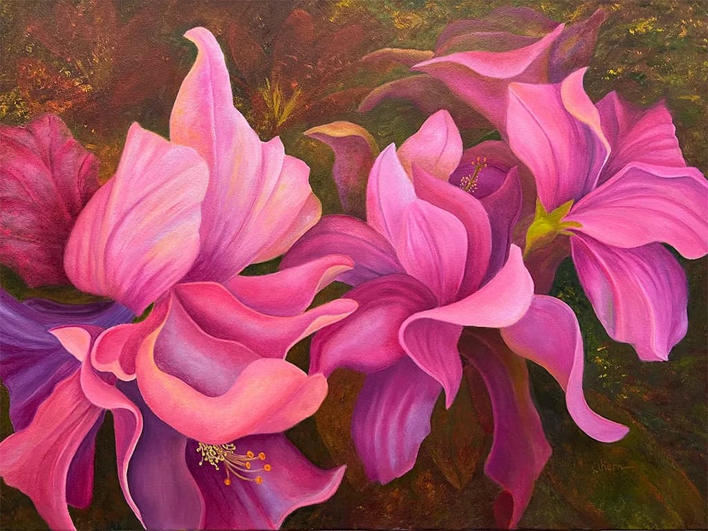 Cosmic Pink Hibiscus