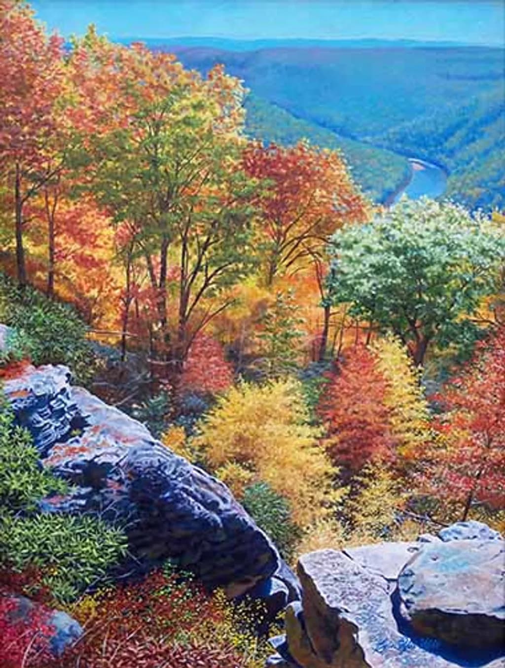 Cheat Canyon View from Coopers Rock
