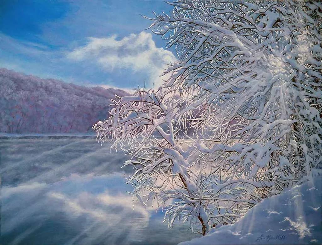 Winter Rays