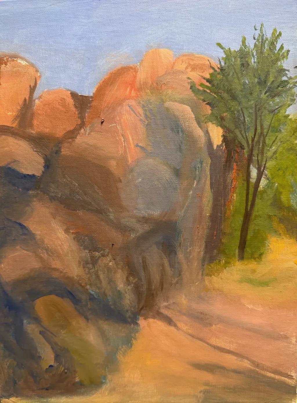 Desert Shadows