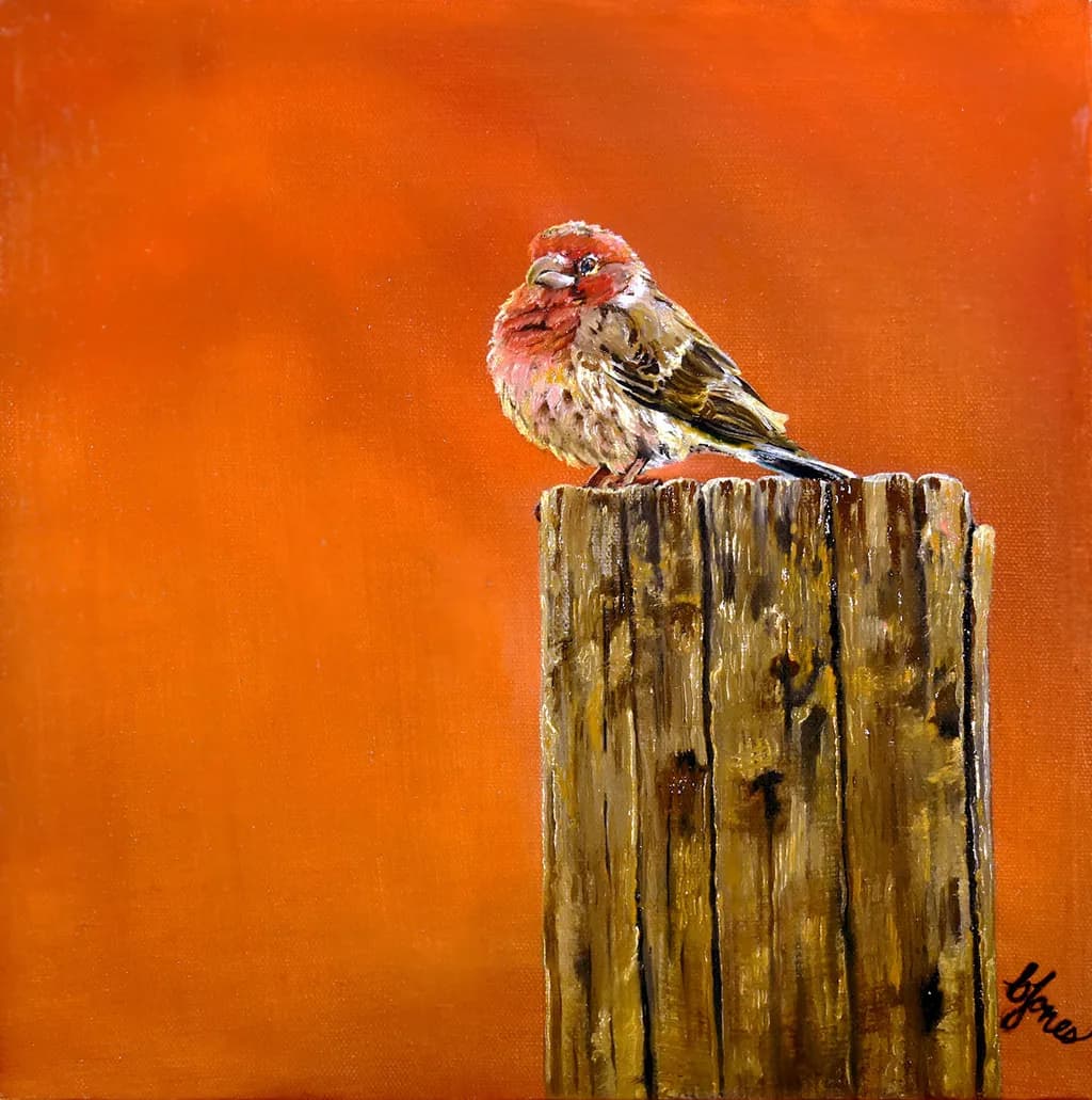 Whimsical Harmony: A Finch's Solitude Against an Orange Horizon