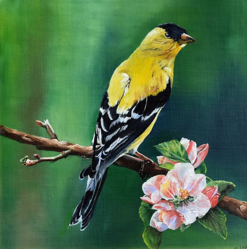 Golden Whispers: A Vibrant Encounter with Nature's Songbird on Blossoming Branches