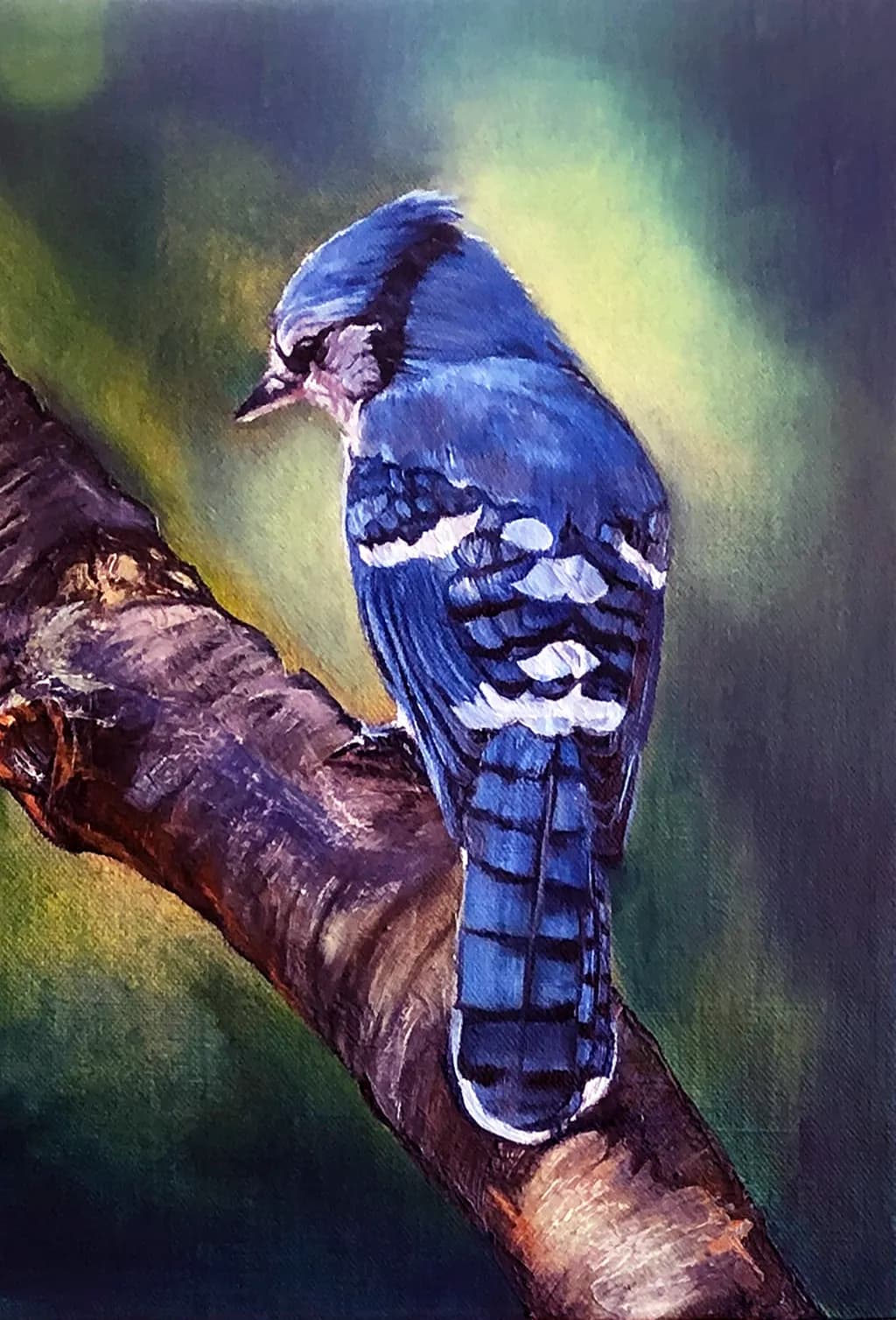 Whispers of the Blue Jay: A Serene Moment in Nature's Embrace