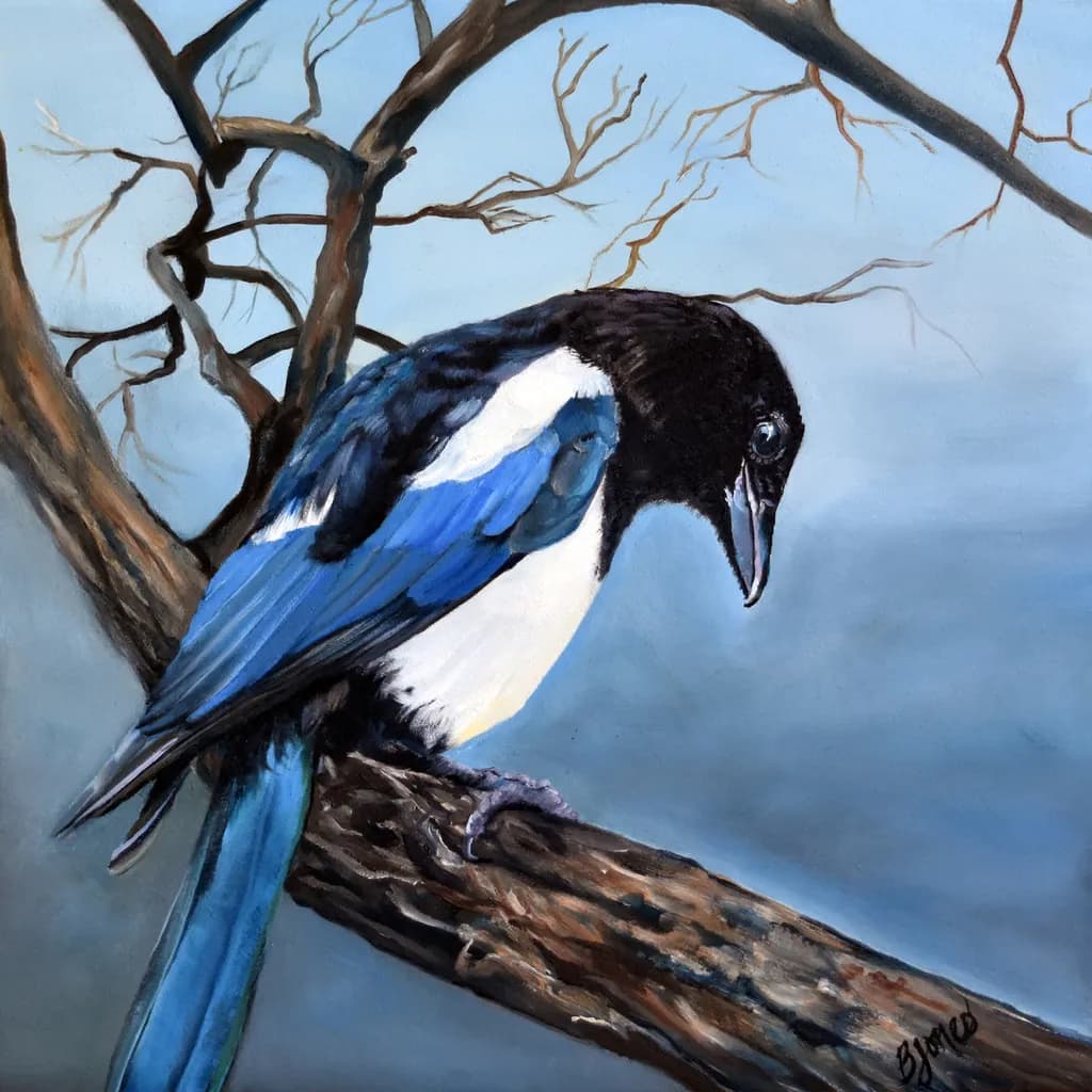 Whispers of the Sky: A Majestic Magpie's Reflection