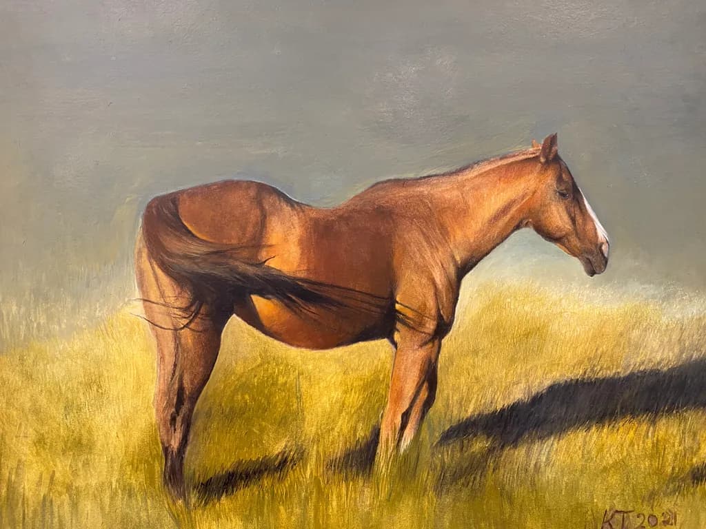 Sunlit Stallion