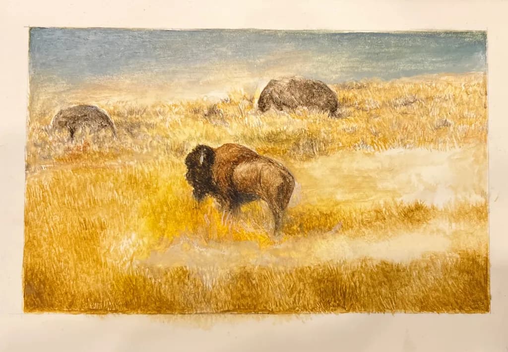 Golden Plains Bison
