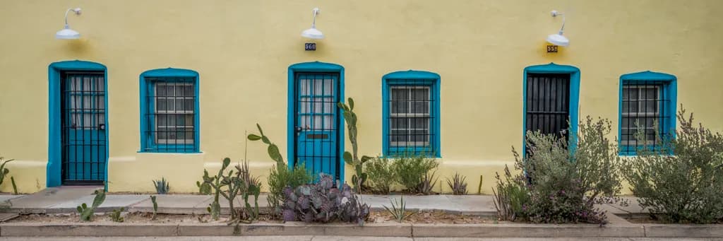 Turquoise Doors and Cactus