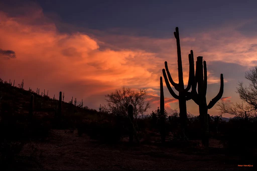 Last Light of the Day