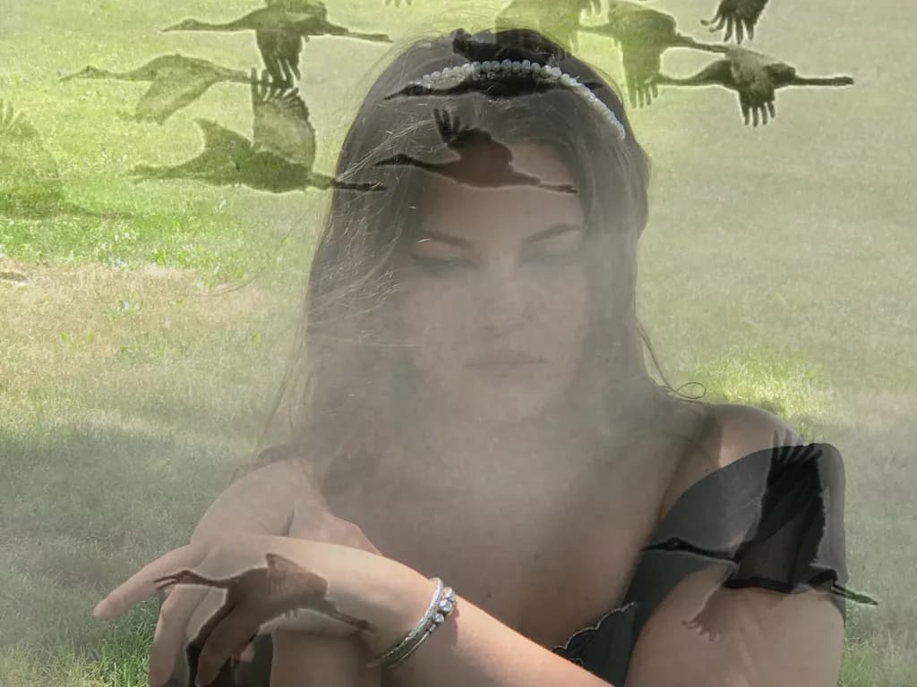 Contemplative Flight
