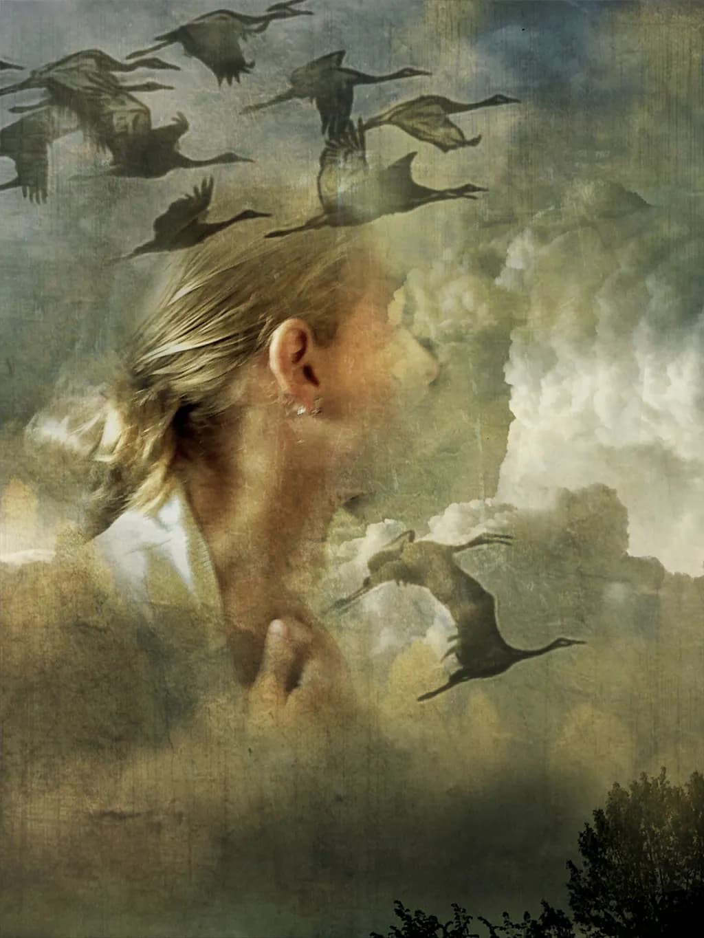 Skyward Scream