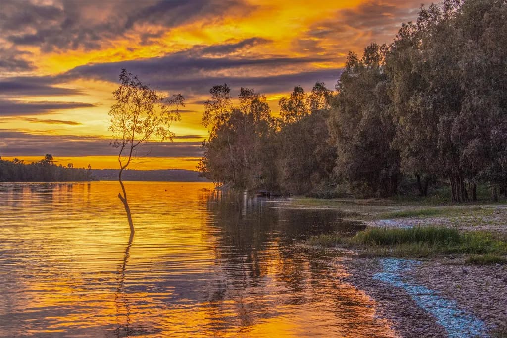 Golden Twilight Reflections