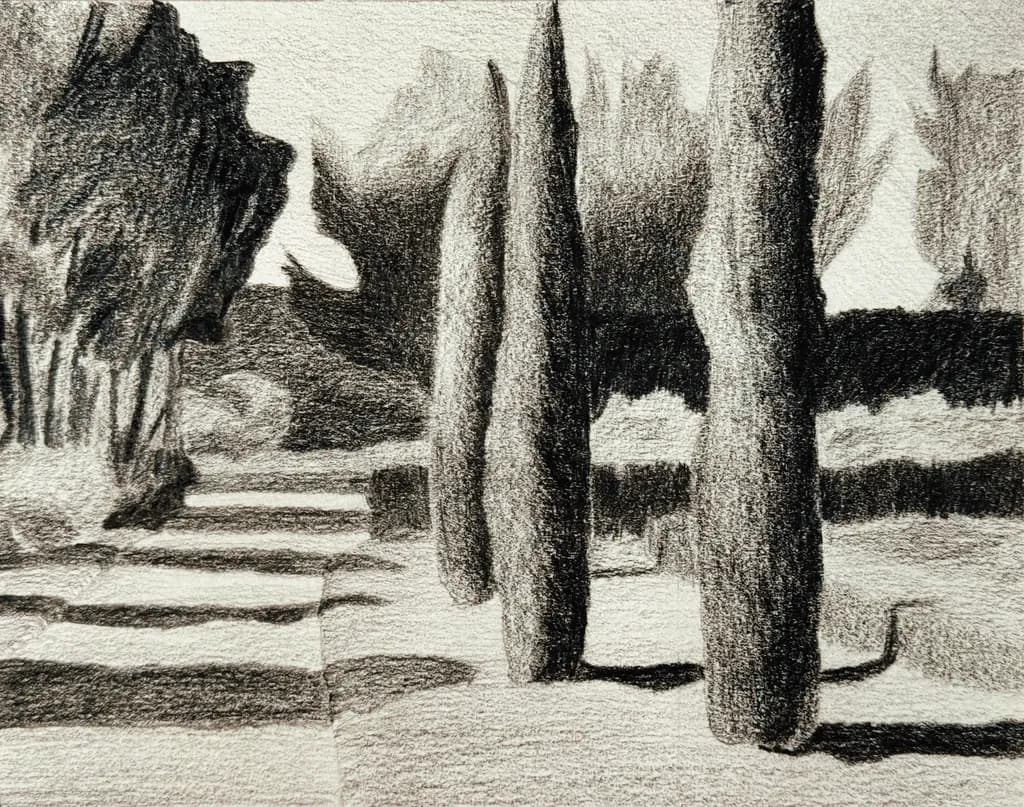 Cypress Shadows