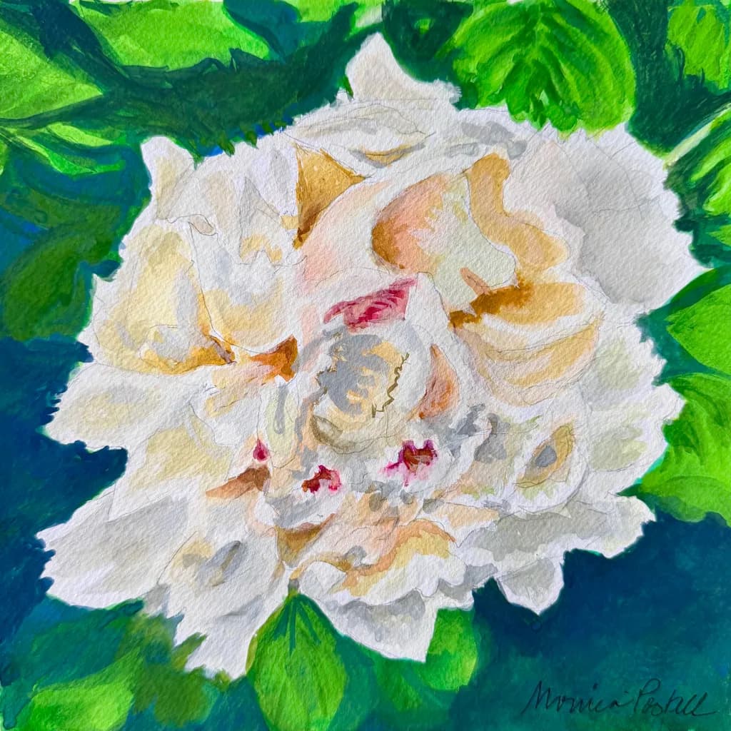 White Peony Explosion