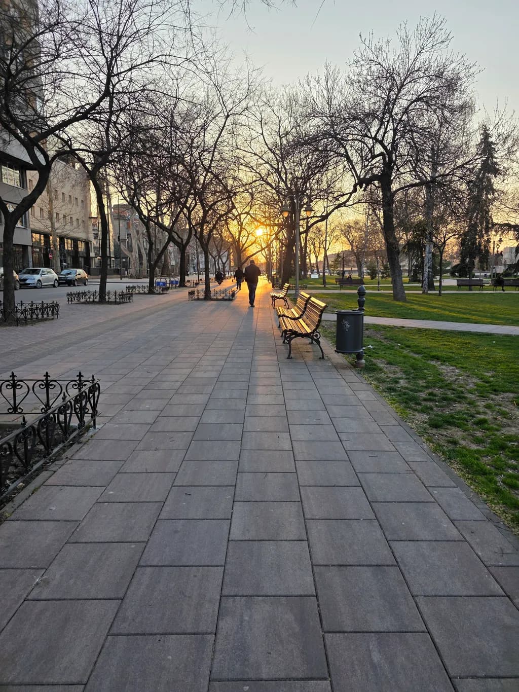 Golden Hour Stroll