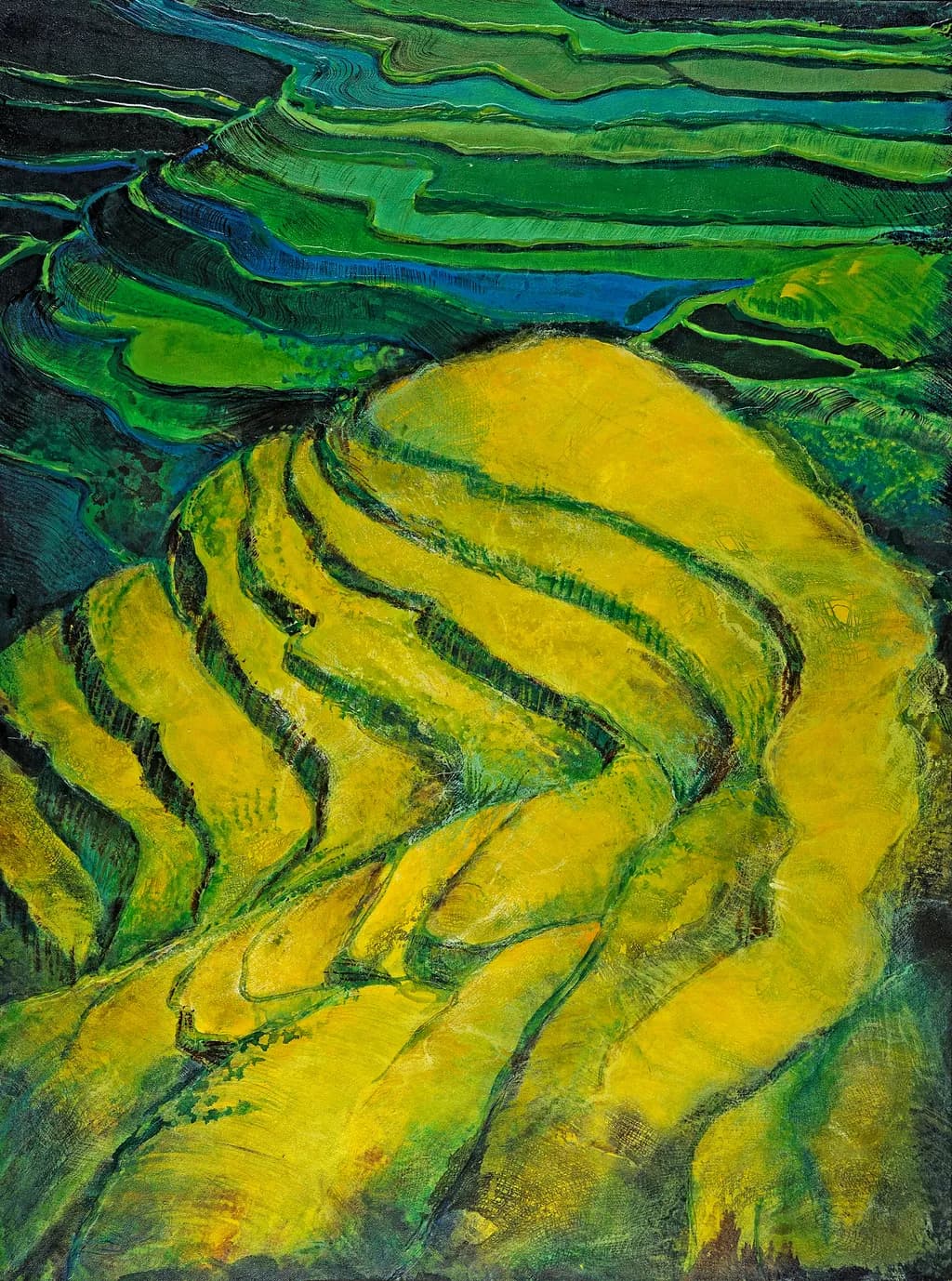 Terraced Harmony