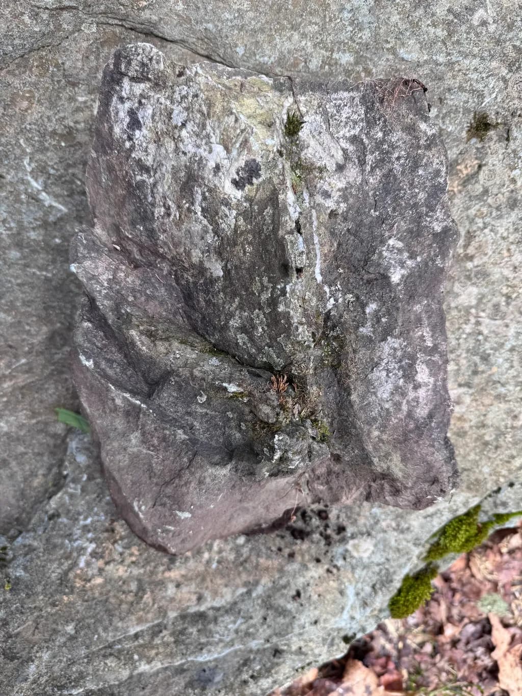 Mossbound Stone
