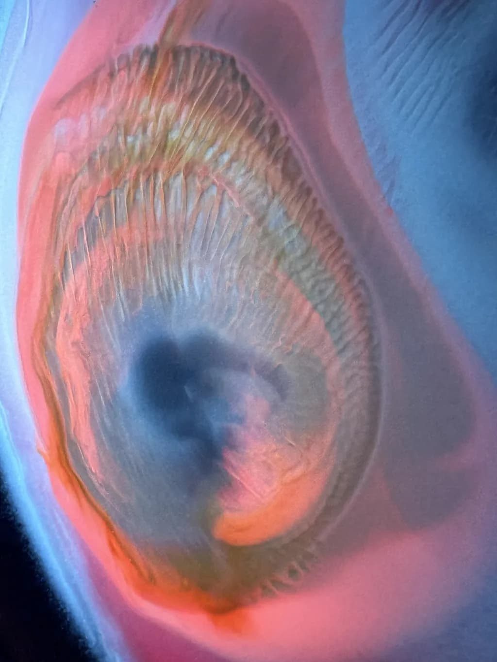 Celestial Spiral
