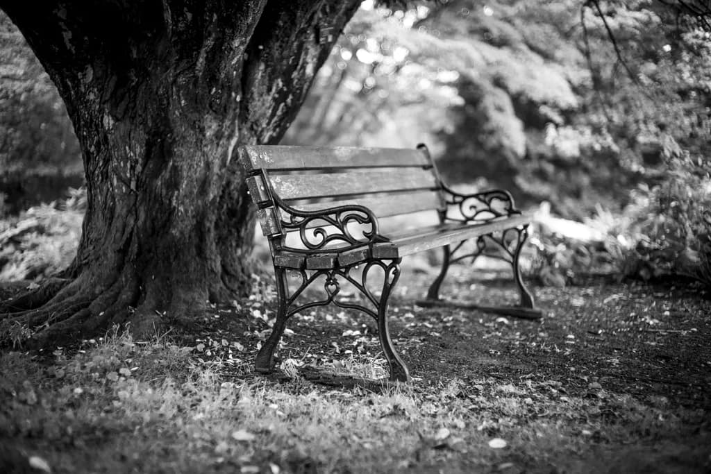 Empty Bench