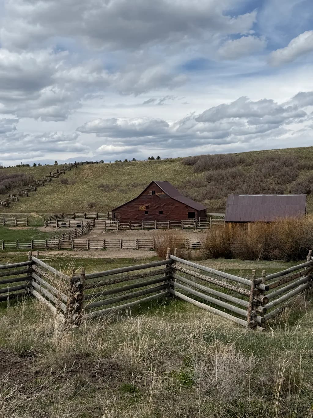 Rustic Homestead View