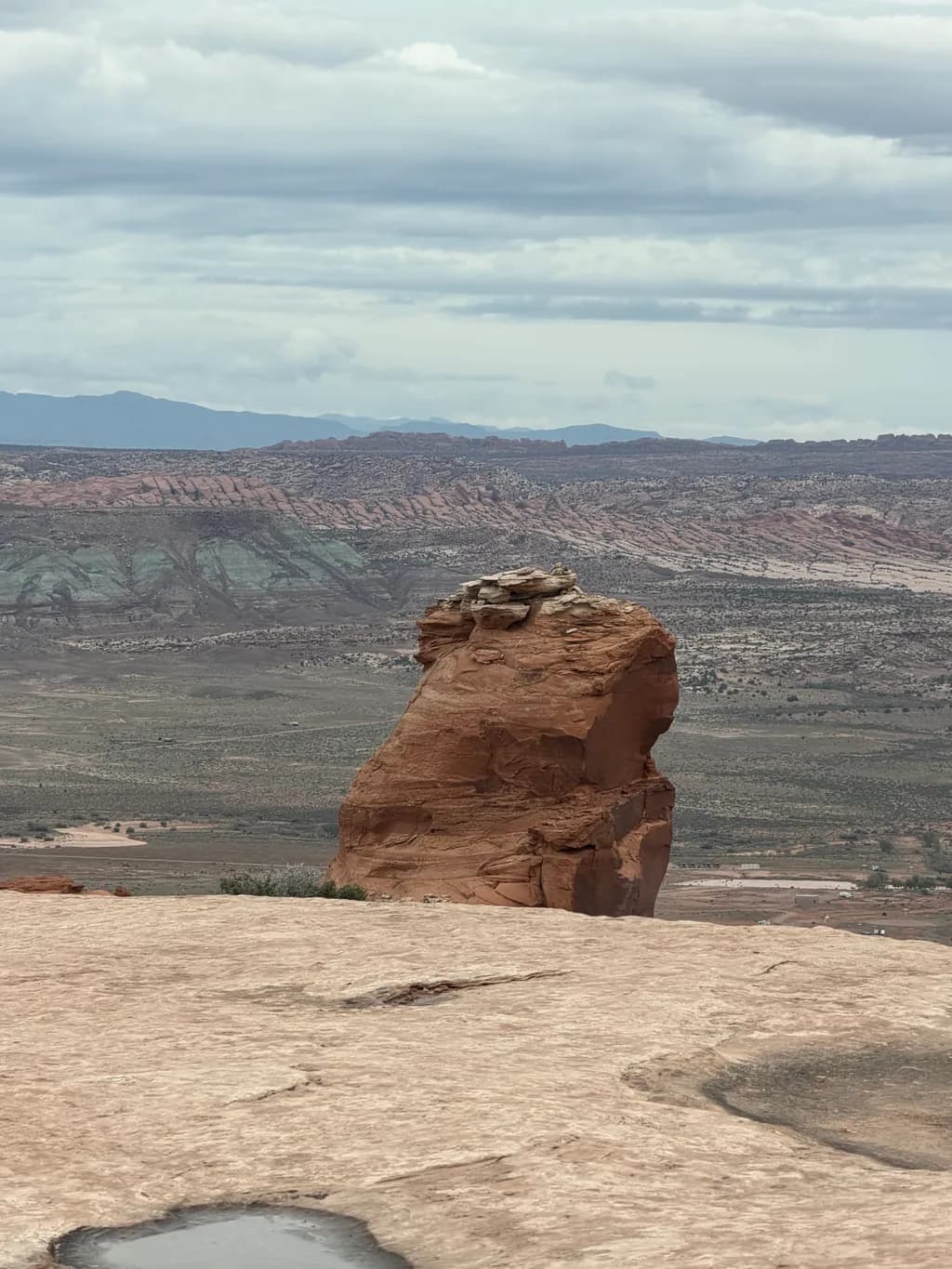 Desert Sentinel